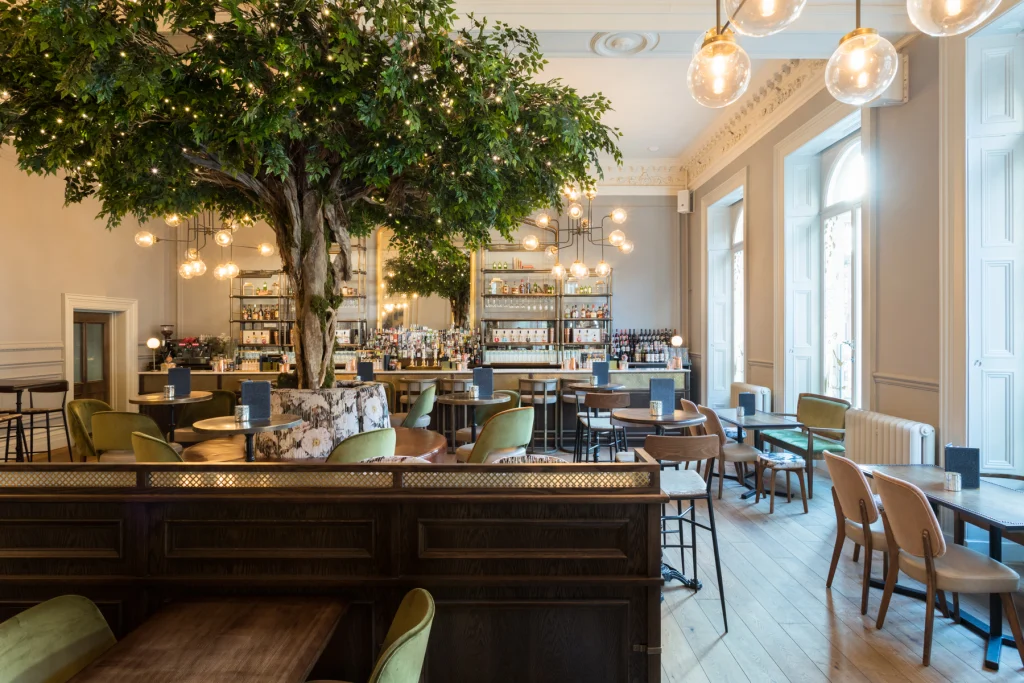 I Want Plants Custom Made Tree with lights at Lost & Found Leeds