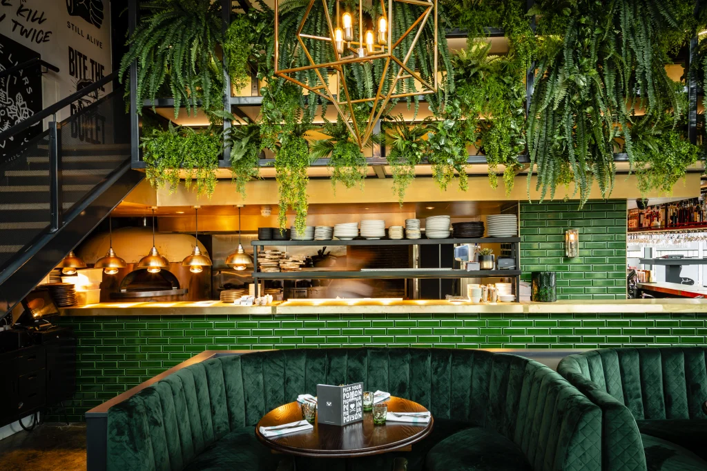 Artificial Fern foliage above restaurant serving area
