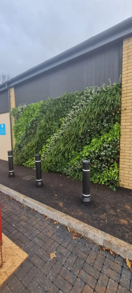 HYVERT living wall at Coop Penmaenmawr
