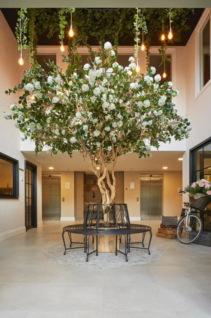 White custom made viburnum tree by i want plants