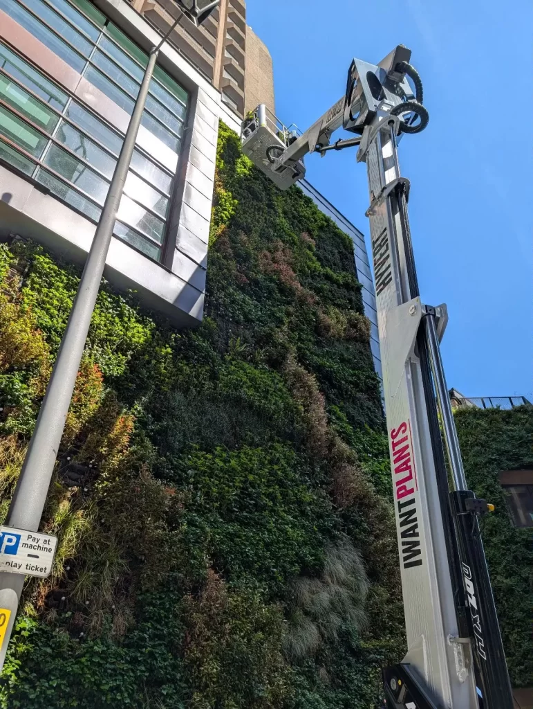 Elevated Aftercare for HYVERT living Walls