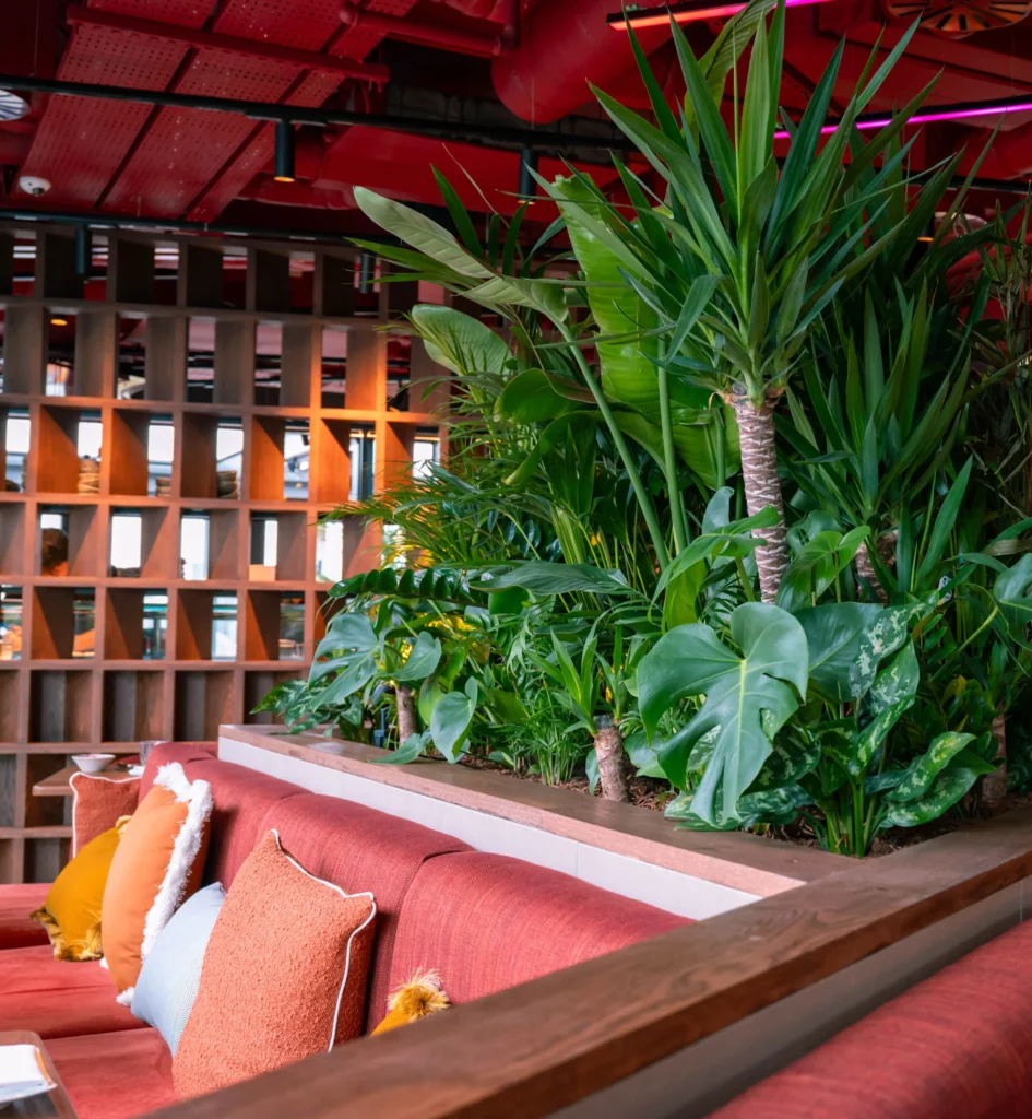 Custom installation built in planting display at Chotto Matte Manchester