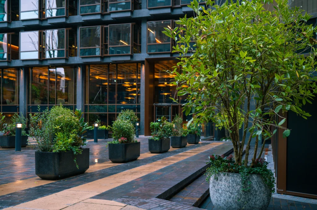 Multi Stem in grey textured pot and live plants in rectangular troughs