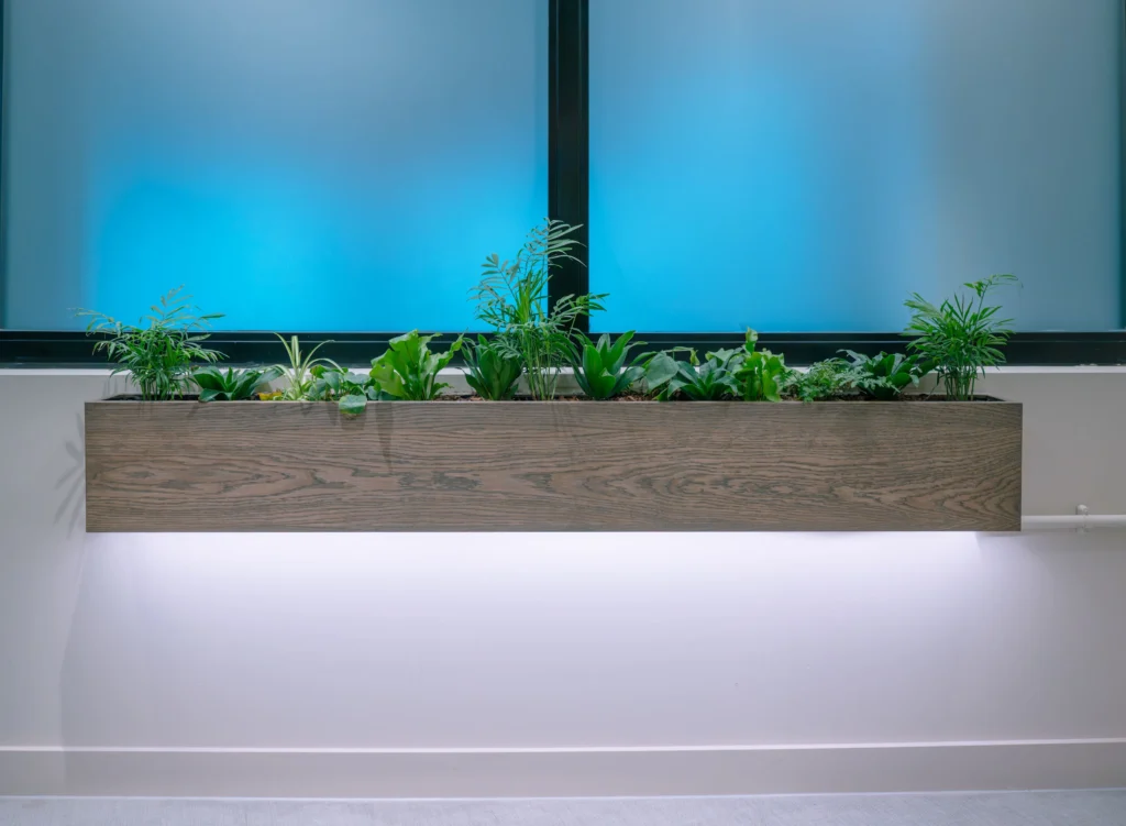 Live plants in wall mounted wood effect rectangular trough