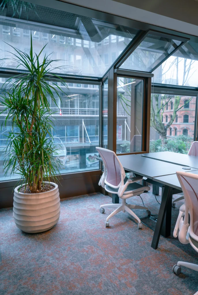 workspace live plants Manchester
